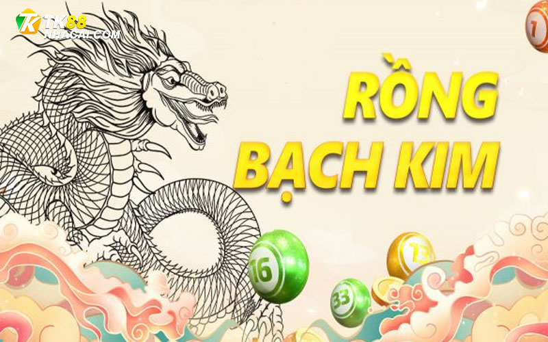 Hướng dẫn soi cầu bạch kim tại TK88 cho tân thủ tham khảo