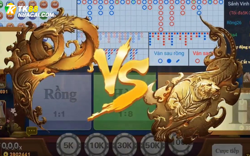 Cách chơi rồng hổ cơ bản cho tân thủ